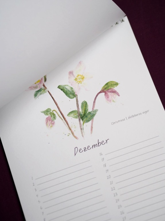 Immerwährender Blühkalender